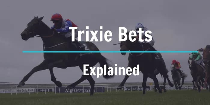 Cover image for What is a Trixie Bet?